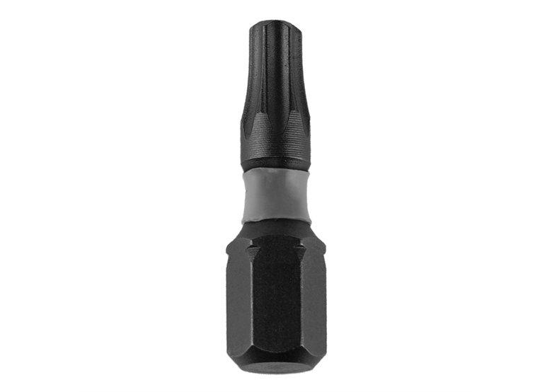 Końcówki wkrętakowe udarowe T25x25mm, 10szt. Dedra 18A53T250-10