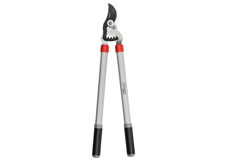 Sekator do świeżych gałęzi Dedra 80A021