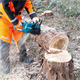 Pilarka łańcuchowa Makita XGT UC023GZ