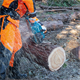 Pilarka łańcuchowa Makita XGT UC025GZ