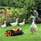 Robot koszący Worx Landroid Vision